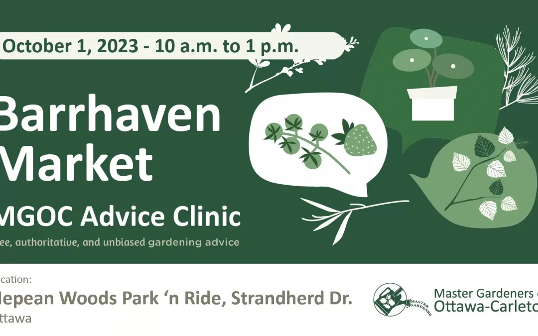 Barrhaven Farmer’s Market – MGOC Advice Clinic