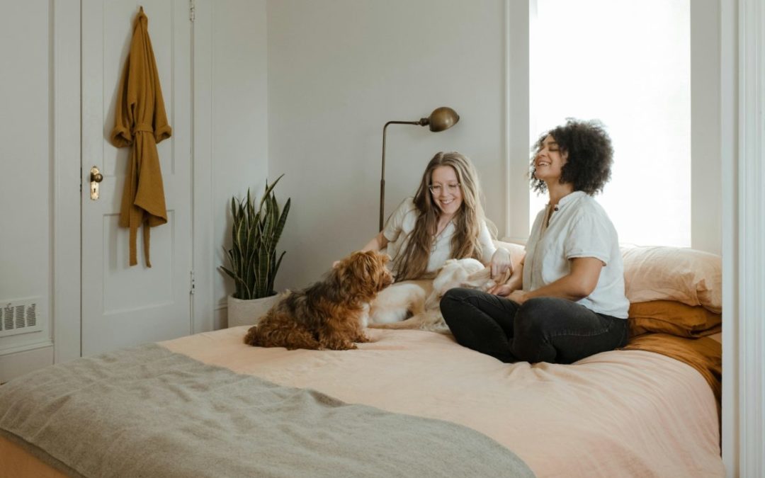 Embracing a Pet-Friendly Lifestyle in Ottawa: Finding the Perfect Home for You and Your Fur Family