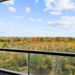 c web or mls Playfair