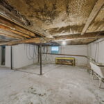 web or mls Haughton