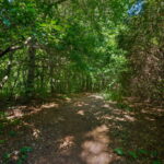 web or mls Glendenning Drive